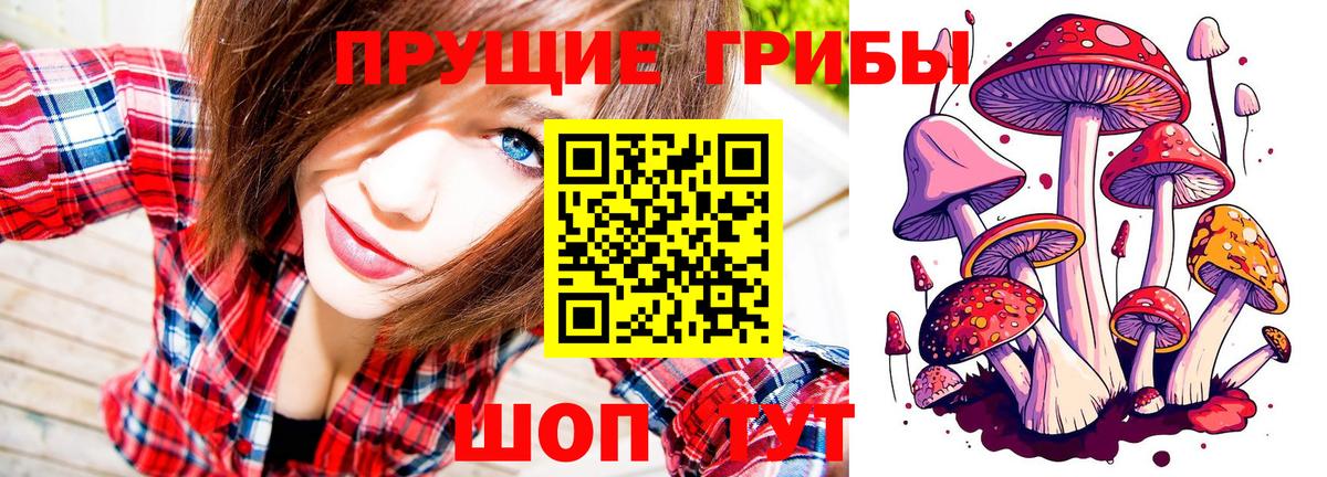 Галлюциногенные грибы GOLDEN TEACHER  Вход с VPN  Александров  Галлюциногенные грибы MAGIC MUSHROOMS 
